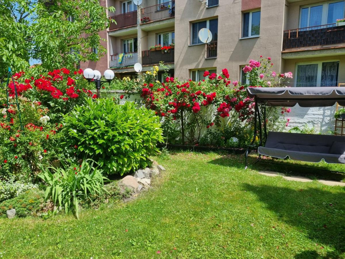 Apartment Vasco